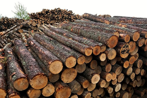 چوب توسکا برای مبل